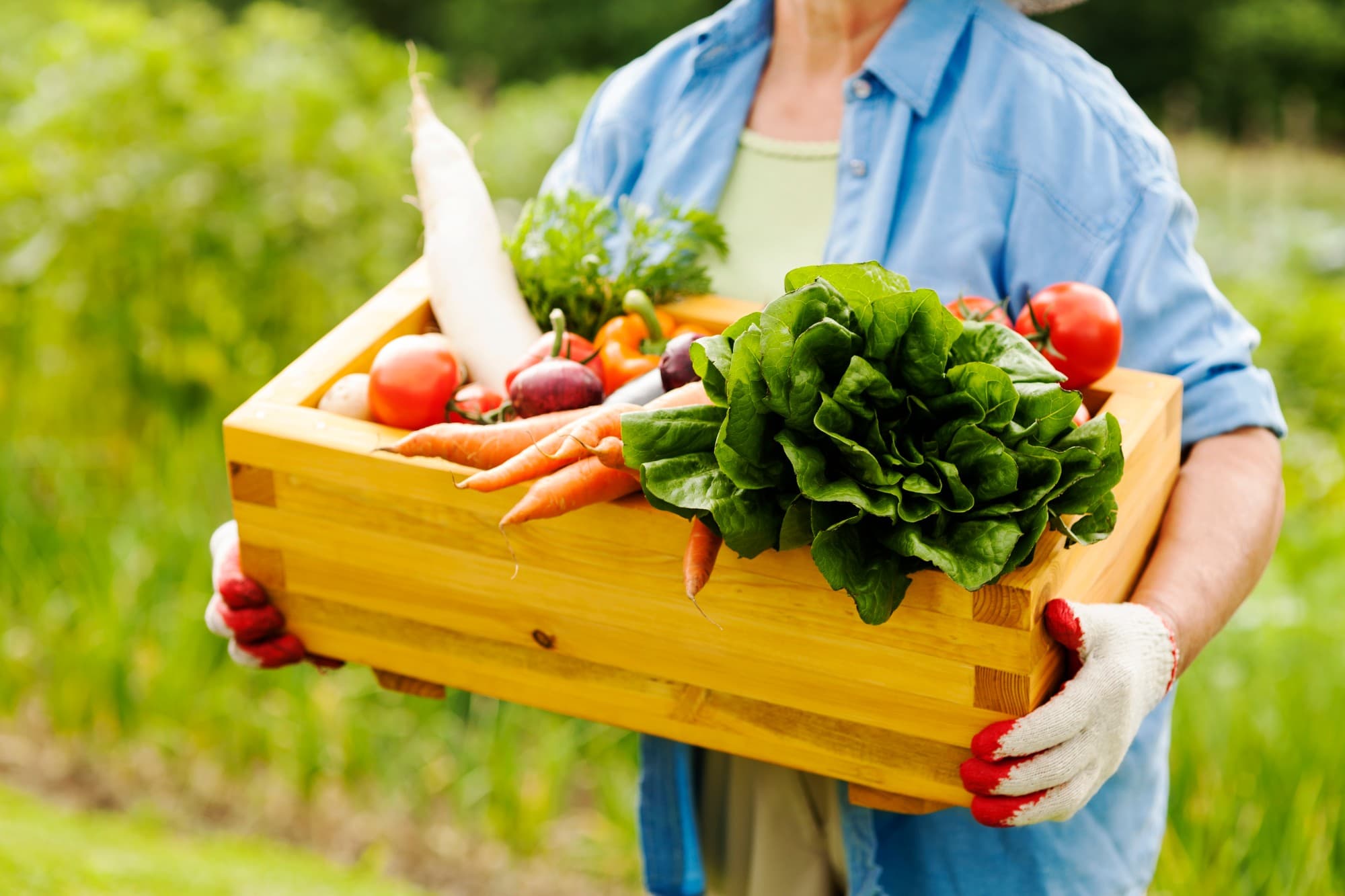Farm-to-Table Dining
